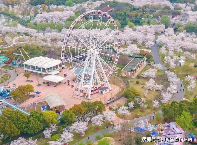 售中心 - 环境户型价格地址楼盘详情配套电话交房时间配套电话交房时间凯发k8国际娱乐首选2025中建山水雅境 (售楼处) 网站 - 销(图5)